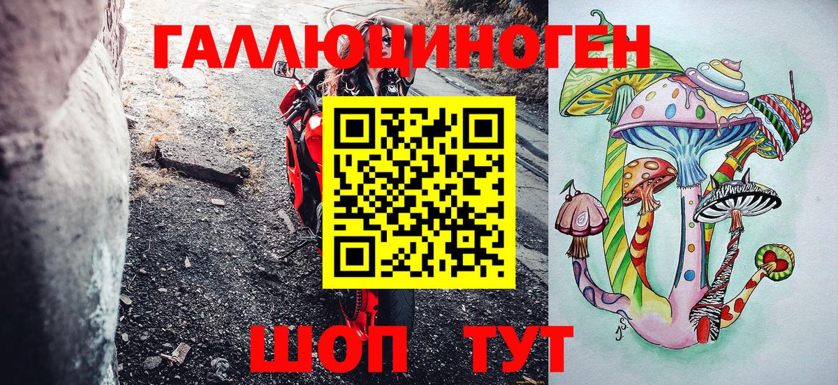 Галлюциногенные грибы Psilocybine cubensis Белово