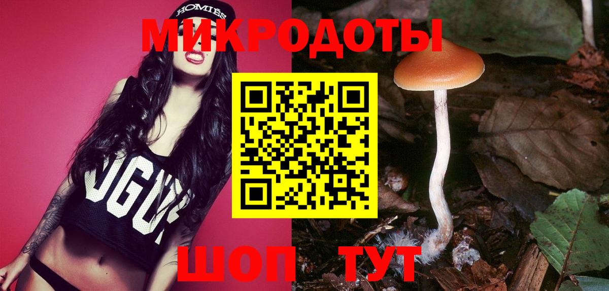 Псилоцибиновые грибы Cubensis  Вход с VPN  Белово 